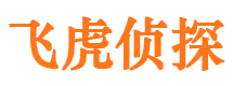 环翠市私家侦探